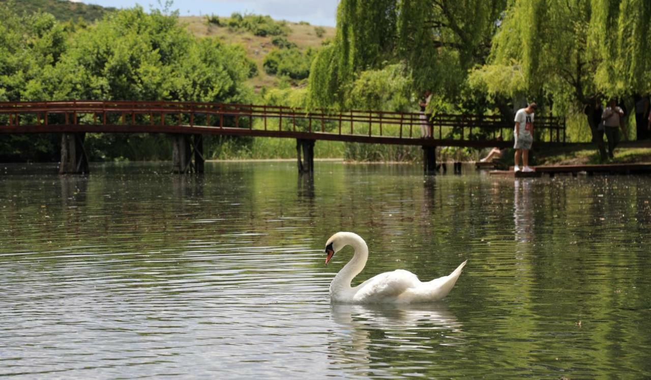 British Hotel Pogradec Ngoại thất bức ảnh